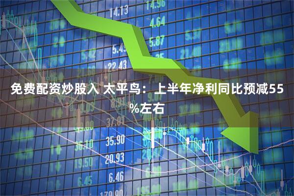 免费配资炒股入 太平鸟：上半年净利同比预减55%左右