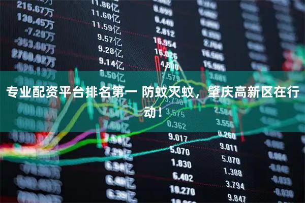 专业配资平台排名第一 防蚊灭蚊，肇庆高新区在行动！