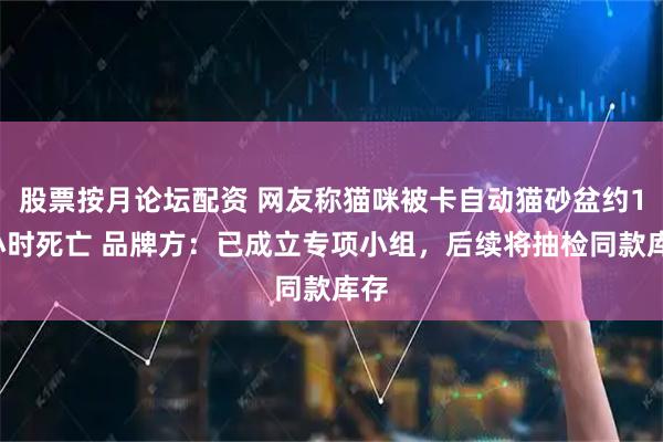 股票按月论坛配资 网友称猫咪被卡自动猫砂盆约12小时死亡 品牌方:已成立专项小组,后续将抽检同款库存
