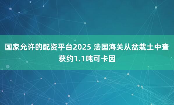 国家允许的配资平台2025 法国海关从盆栽土中查获约1.1吨可卡因
